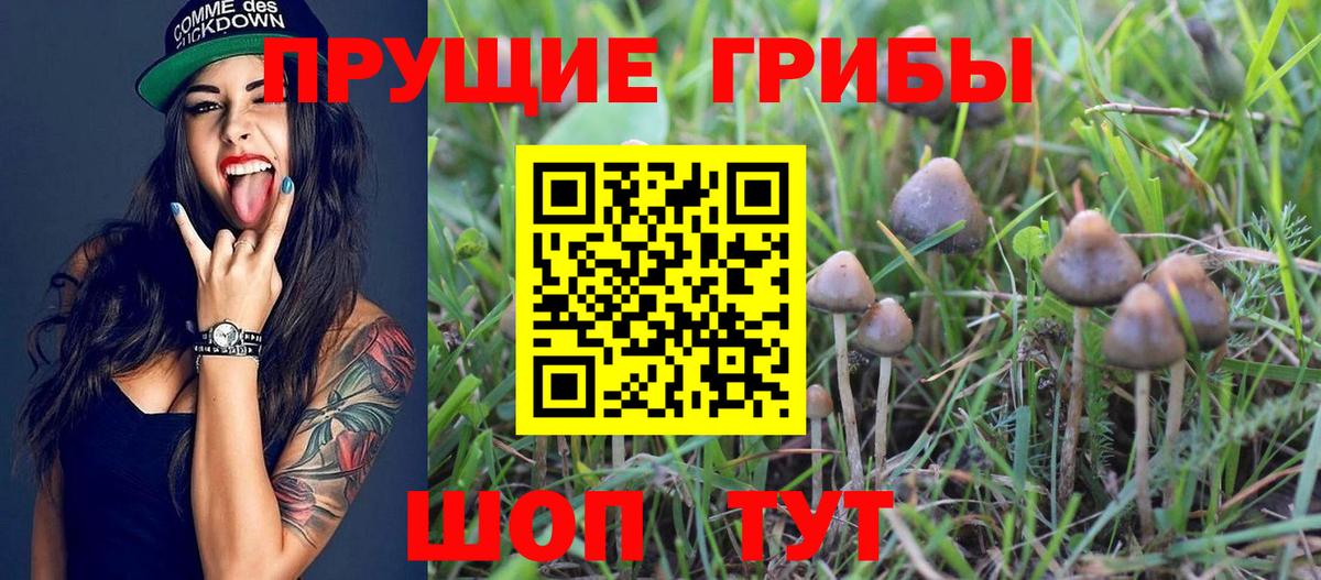 где купить наркоту  Вход с VPN  Галлюциногенные грибы Cubensis  Первоуральск  Галлюциногенные грибы Magic Shrooms 